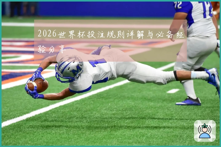 2026世界杯投注规则详解与必备经验分享