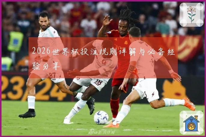2026世界杯投注规则详解与必备经验分享