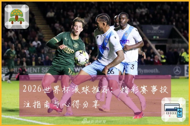 2026世界杯滚球推荐：精彩赛事投注指南与心得分享