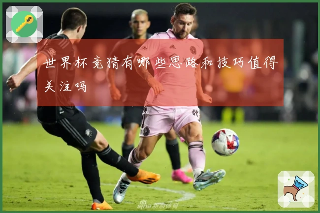 世界杯竞猜有哪些思路和技巧值得关注吗