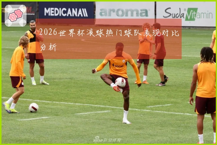 2026世界杯滚球热门球队表现对比分析