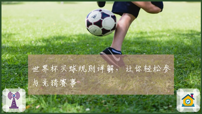 世界杯买球规则详解，让你轻松参与竞猜赛事