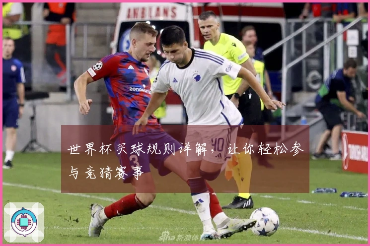 世界杯买球规则详解，让你轻松参与竞猜赛事