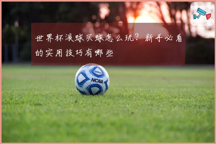 世界杯滚球买球怎么玩？新手必看的实用技巧有哪些