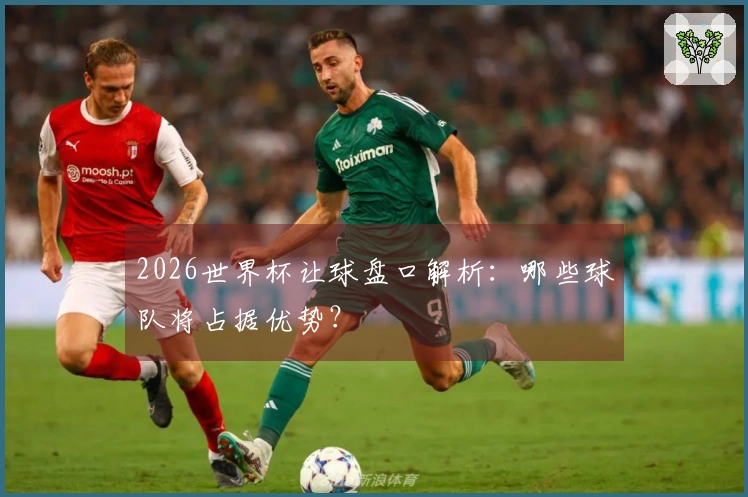 2026世界杯让球盘口解析：哪些球队将占据优势？