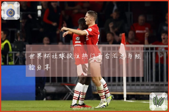 世界杯让球投注热门平台汇总与经验分享