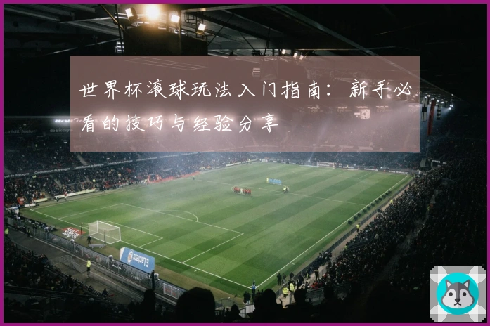 世界杯滚球玩法入门指南：新手必看的技巧与经验分享